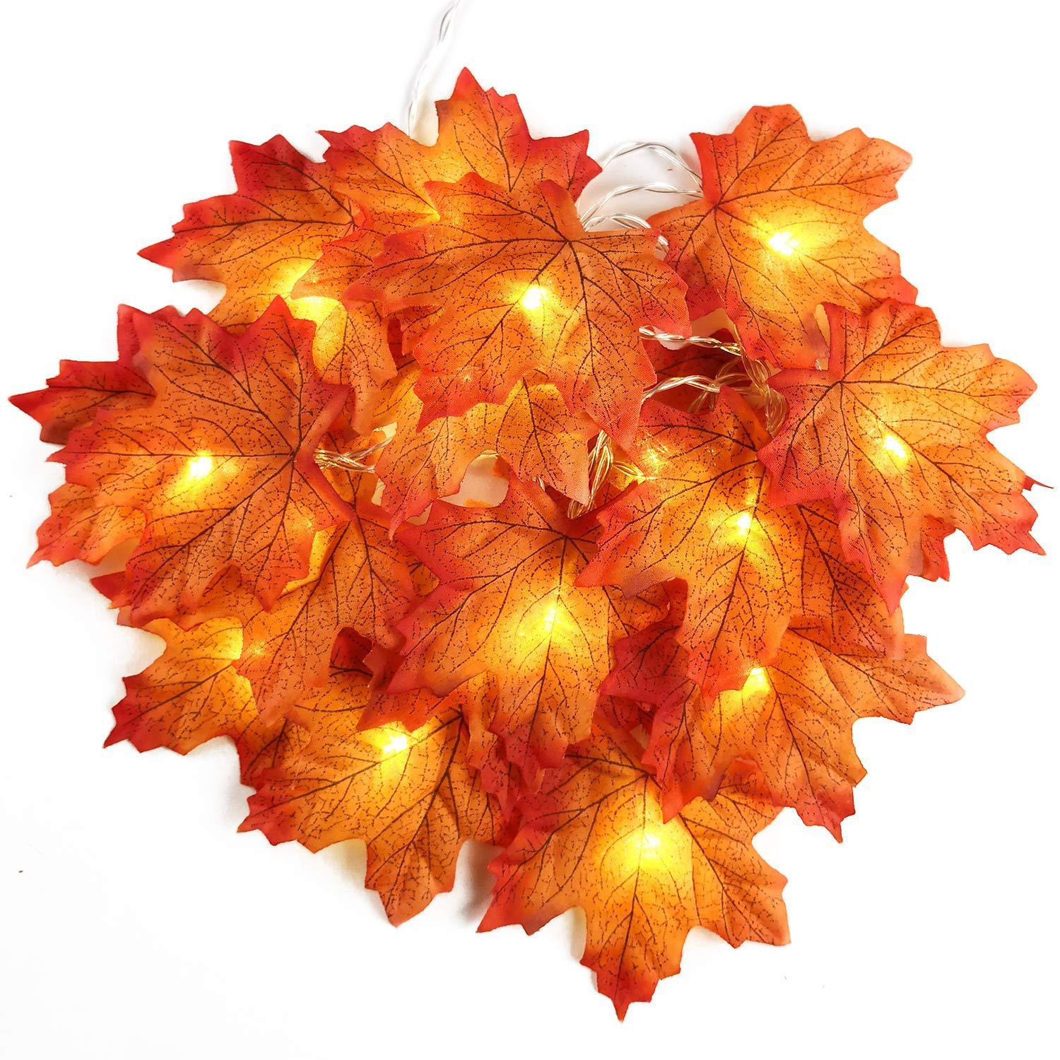 2/3/6 متر ورقة قيقب اصطناعي يت - مراجعة Led Fairy String Lights وسعره